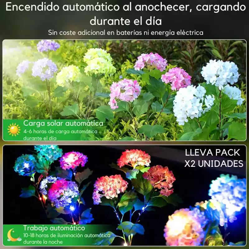 Floresolares Lumina PACK X2: Ilumina Tu Jardín con Magia Autónoma y Estética Sin Límites🪷