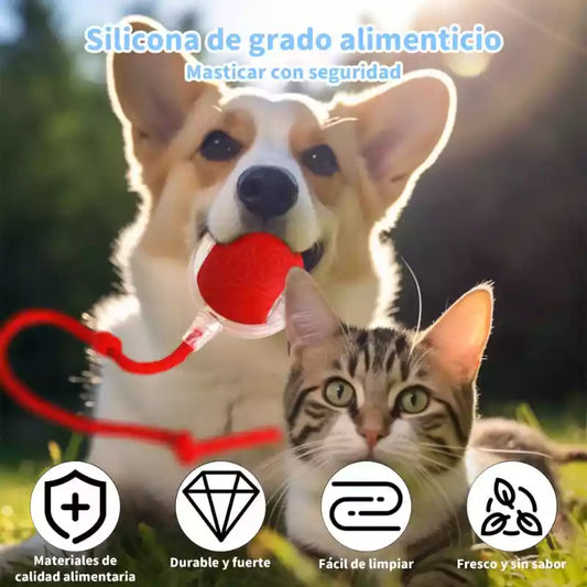 ¡Pelota Inteligente PetPlay! Diversión Autónoma para tu Mascota 🐾⚽